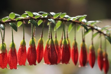 惠州博罗7私人快速借钱网，轻松解决资金难题