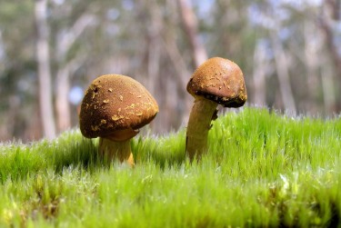 惠州博罗7私人老板放款：轻松融资的秘密通道